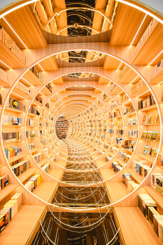 螺旋书架的奇幻图书馆图片