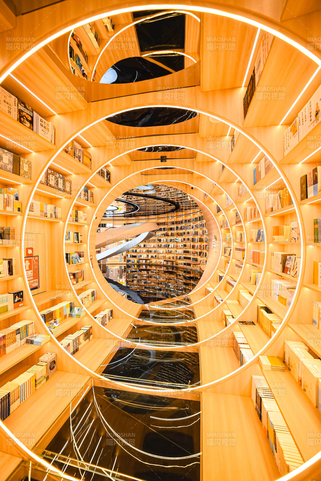 螺旋书架的奇幻世界图片