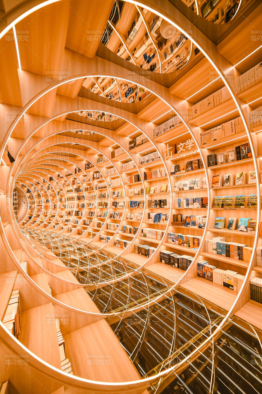 螺旋书架的奇幻世界图片