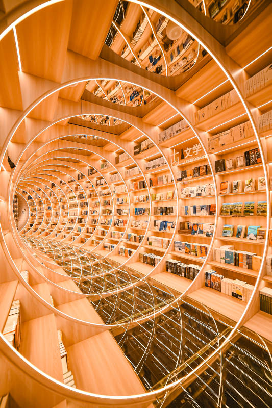 螺旋书架的奇幻世界图片