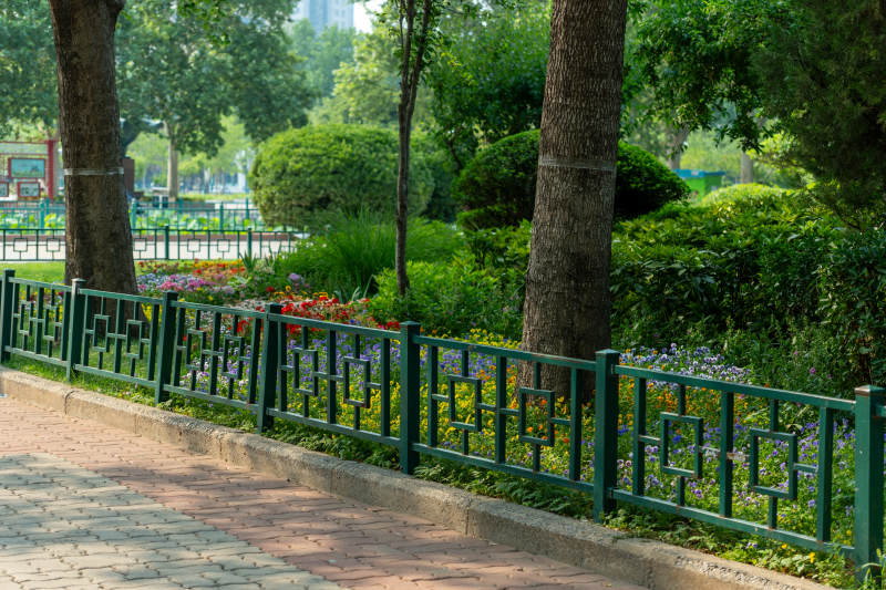 公园绿篱小径风景图图片