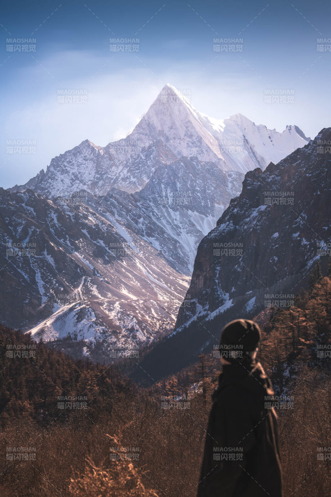 雪山之巅 孤影远眺图片