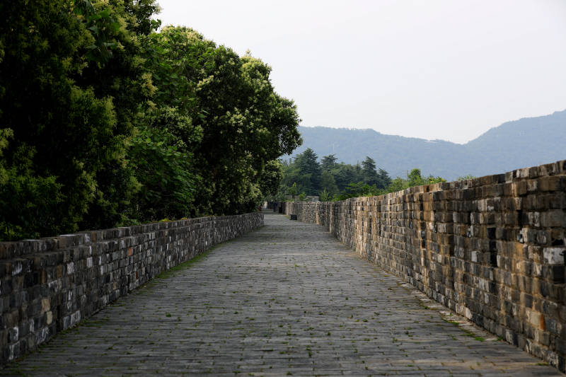 南京明城墙上的静谧小径图片