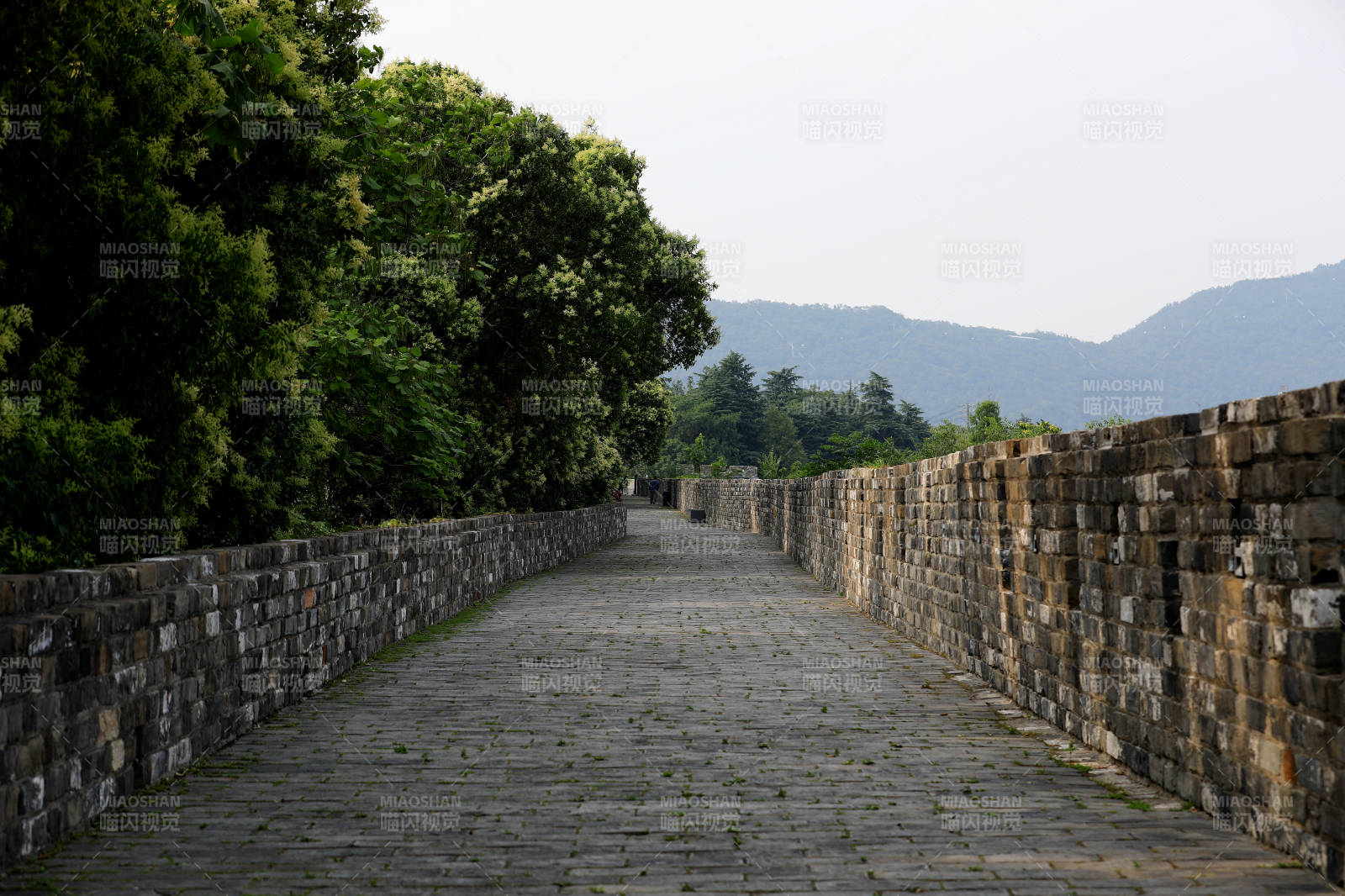 南京明城墙上的静谧小径图片