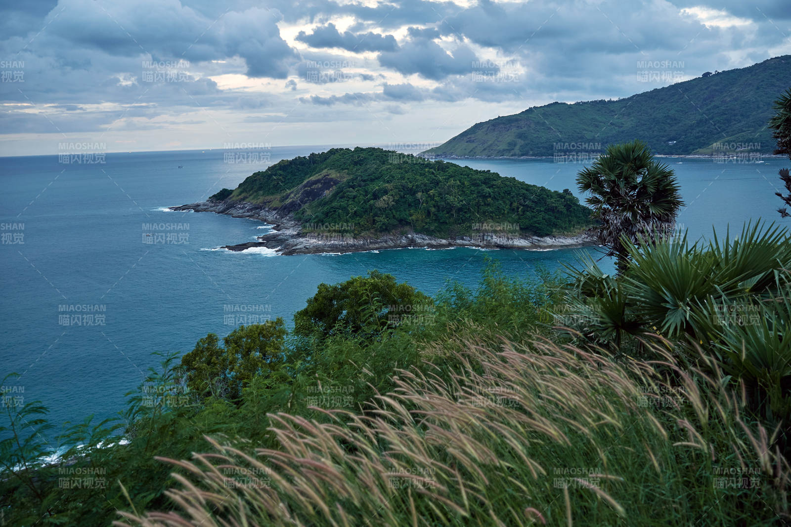 海岛风光 绿意盎然图片