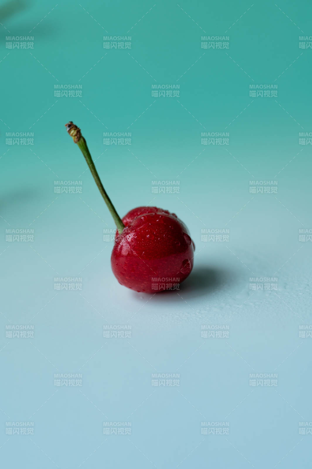 樱桃静谧蓝背景图片