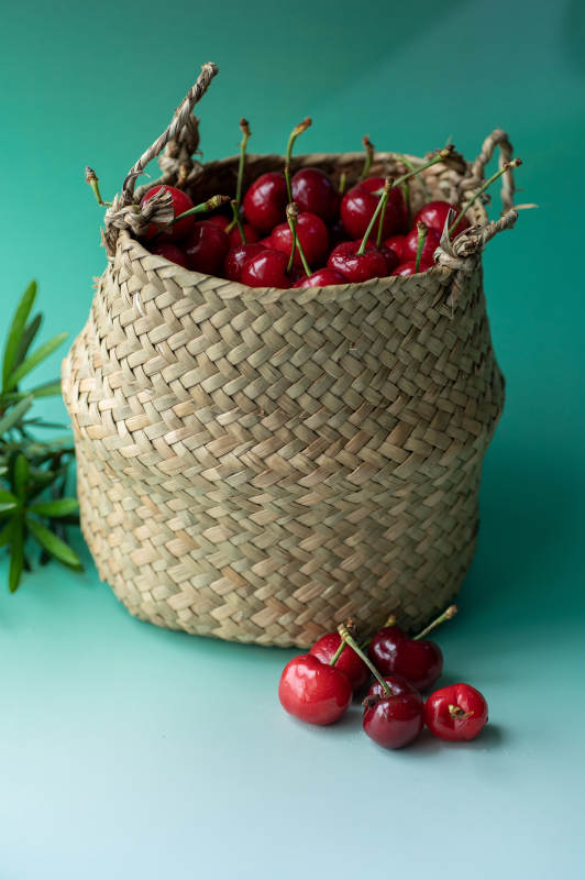 樱桃满篮 绿意盎然图片