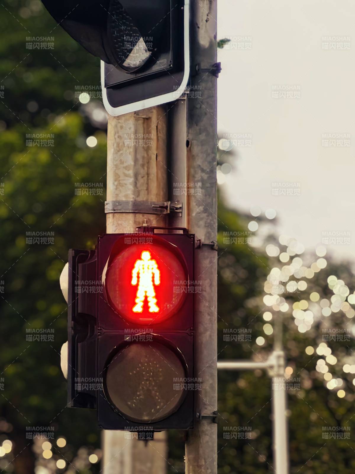 红灯行人停 安全第一图片