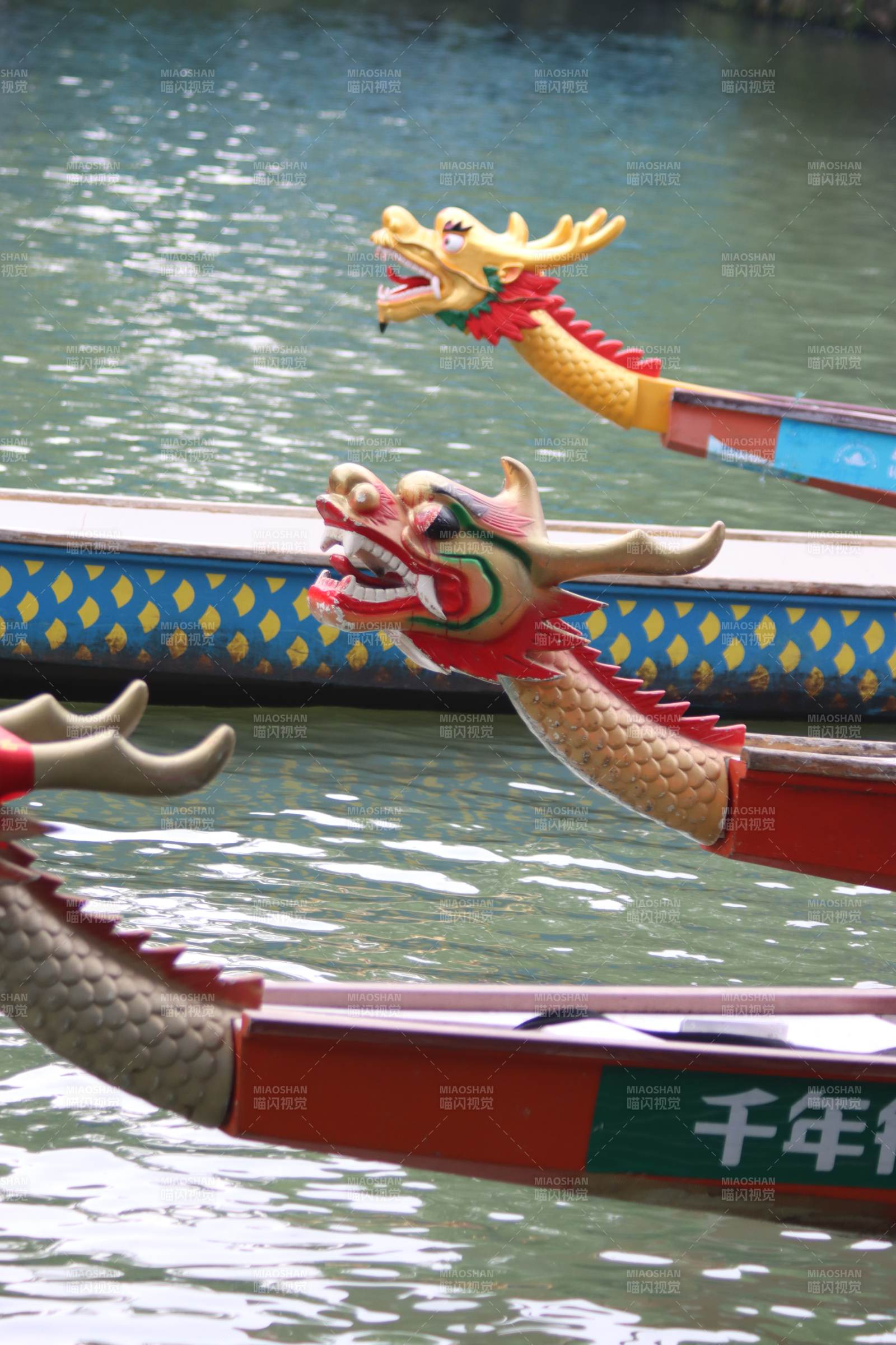 龙舟竞渡 水波荡漾图片