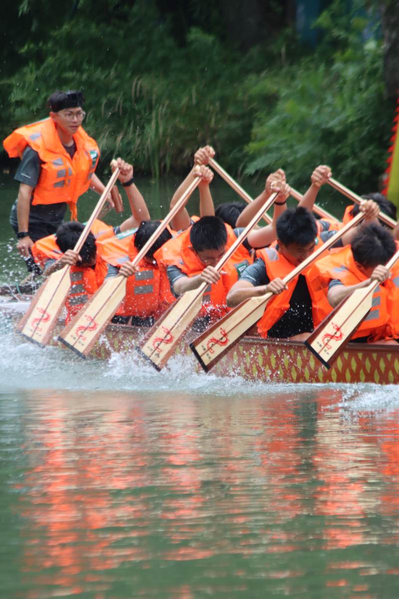 龙舟竞渡 齐心协力图片
