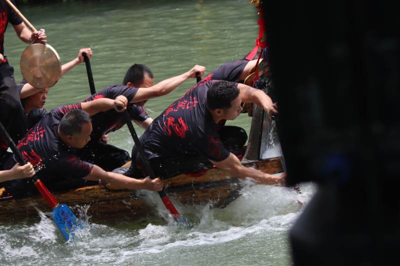 龙舟竞渡 奋力划桨图片