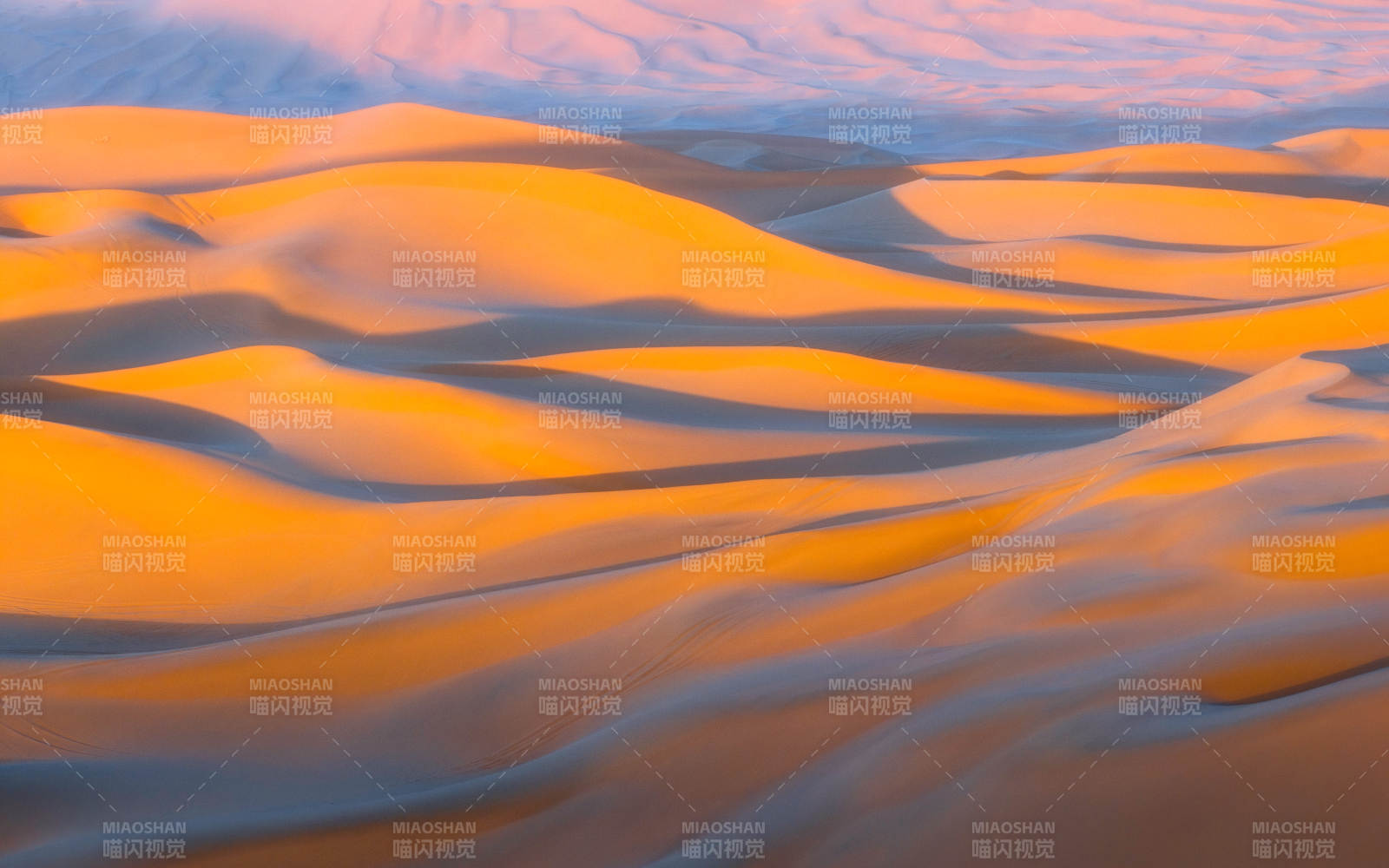 金色沙漠的晨曦美景图片