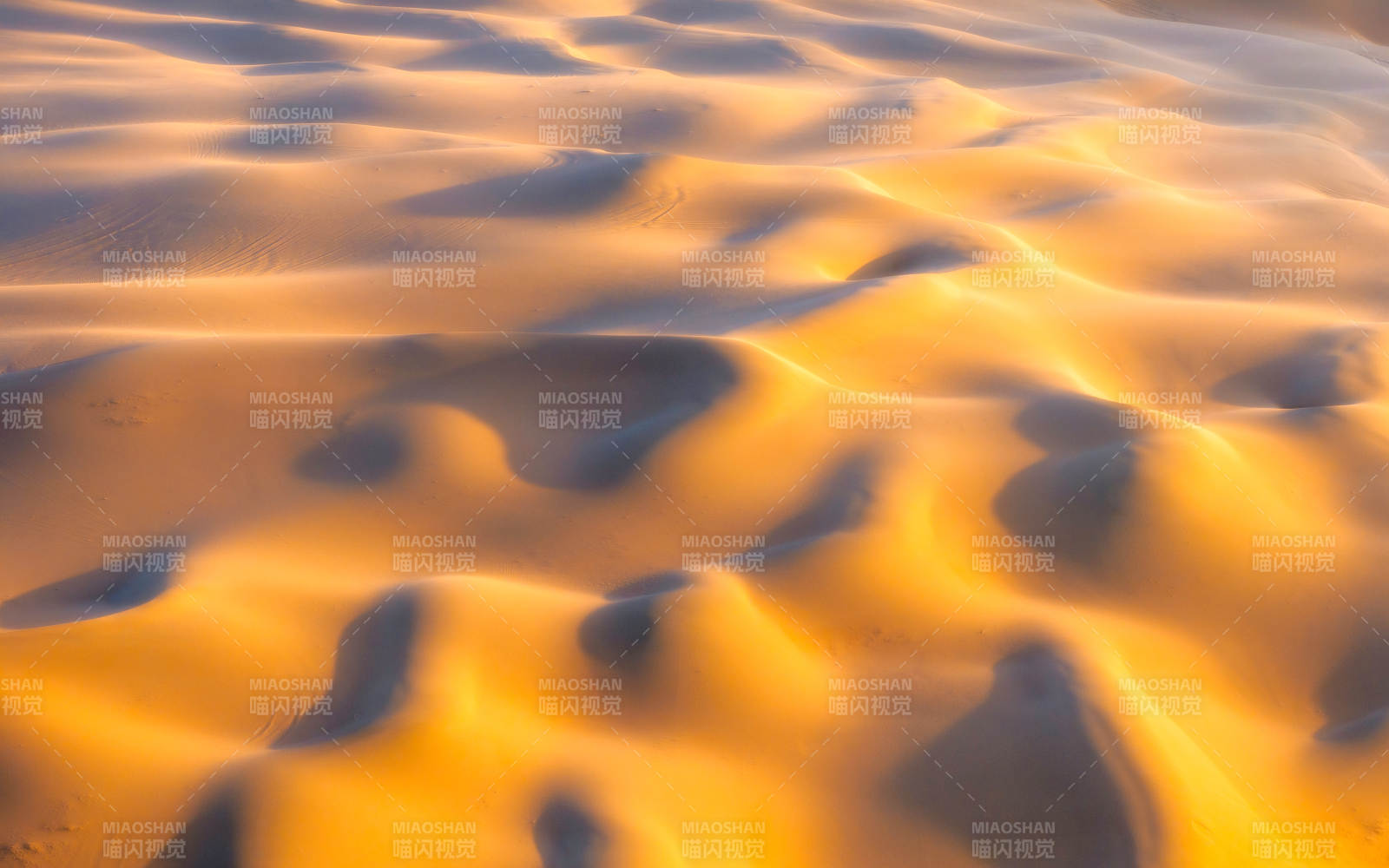 金色沙漠的波纹纹理图片
