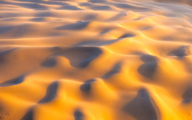 金色沙漠的波纹纹理图片