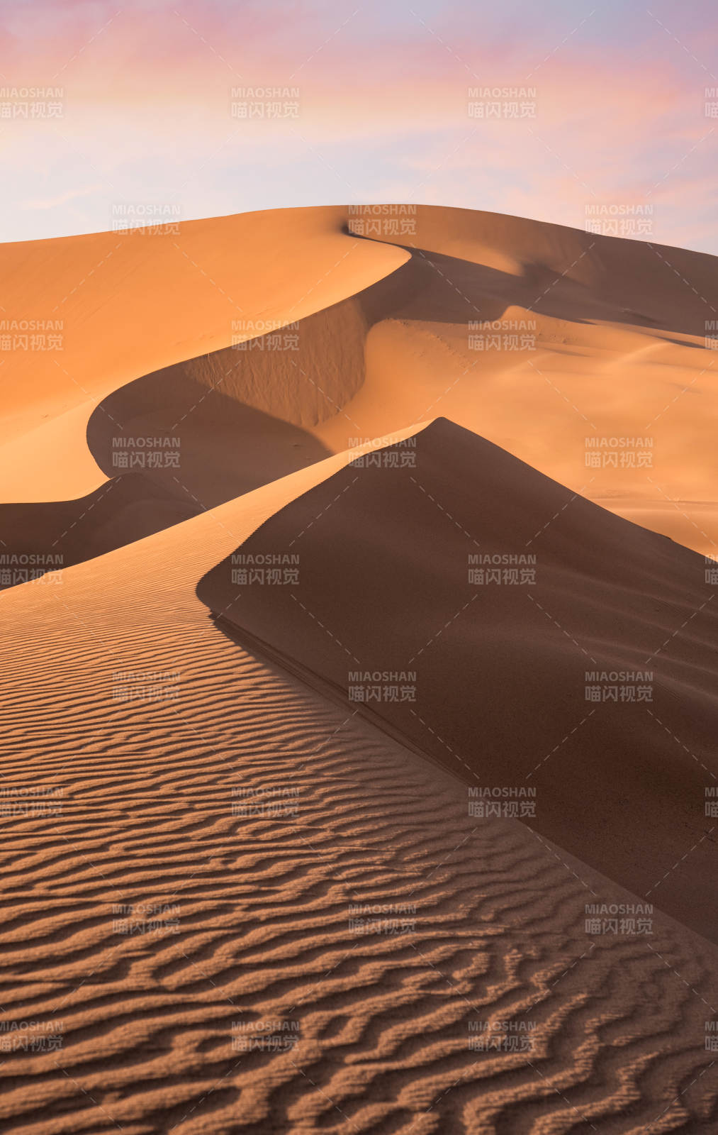 沙漠沙丘的金色曲线图片