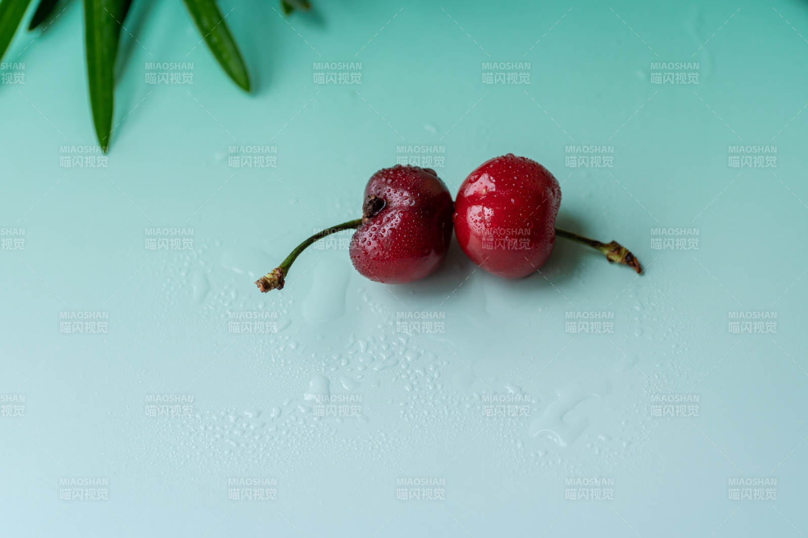 樱桃双颗 清新诱人图片