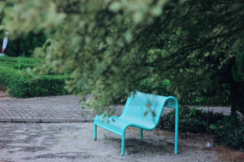 绿树下的蓝色长椅图片