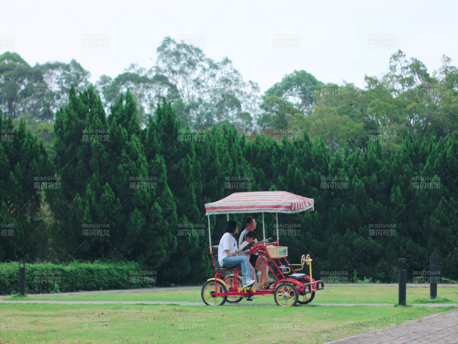 公园里的双人脚踏车图片