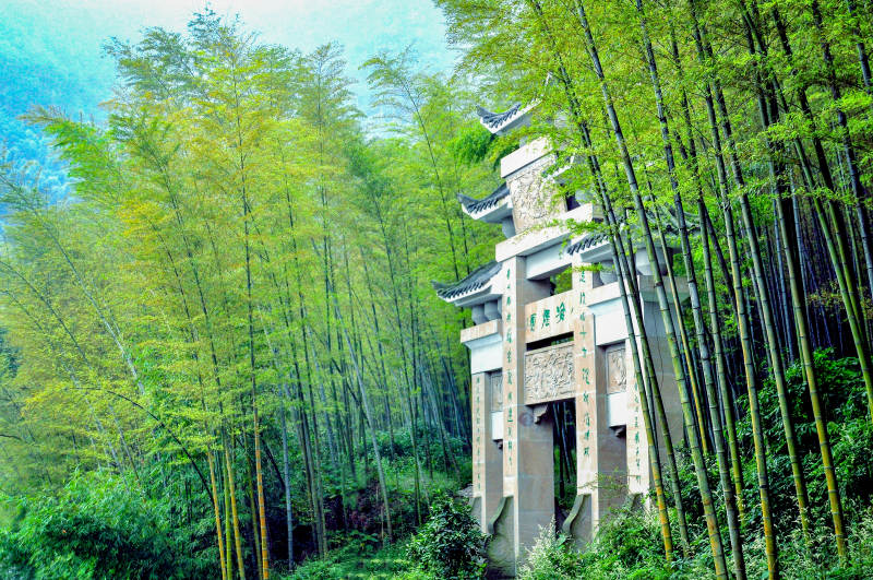 竹林深处古塔影图片