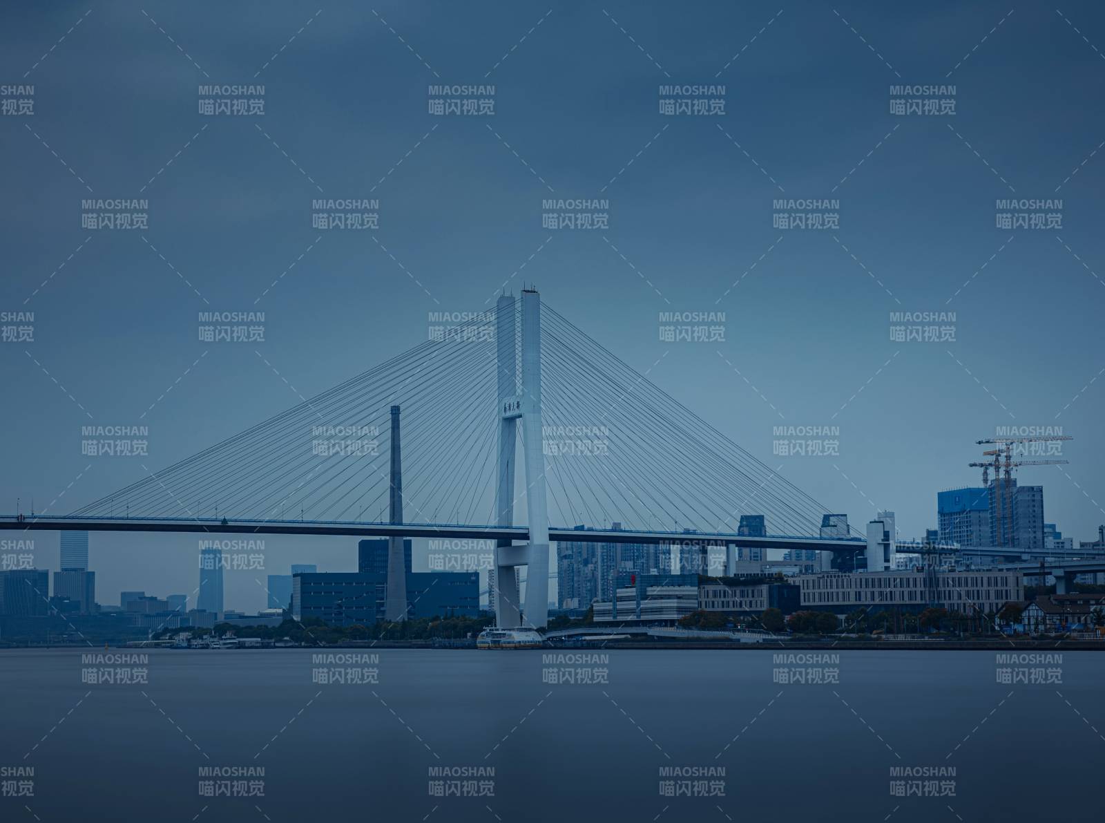 城市夜景中的斜拉桥图片