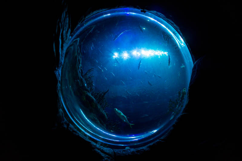 深海蓝光下的神秘世界图片