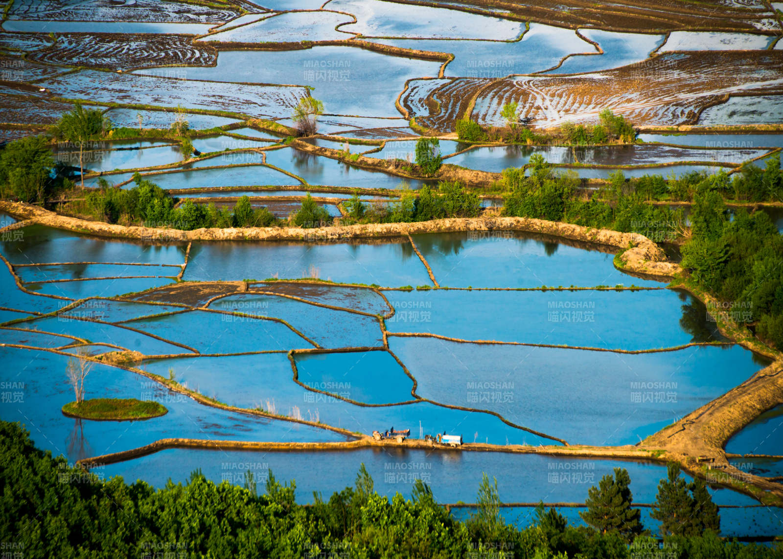 梯田映水 绿树环绕图片