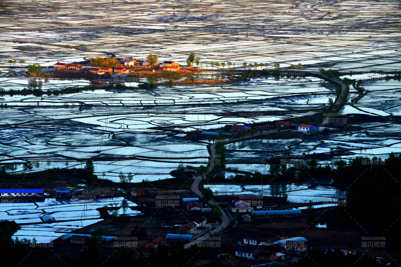 乡村夜景 水田映月图片