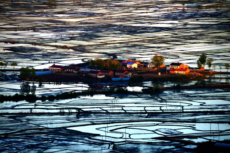 乡村水田夕阳景图片