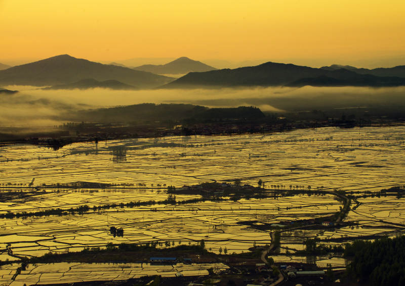 金色田野 山雾缭绕图片