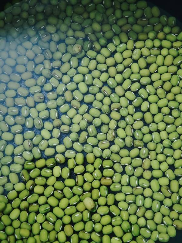 浸泡中的绿豆图片