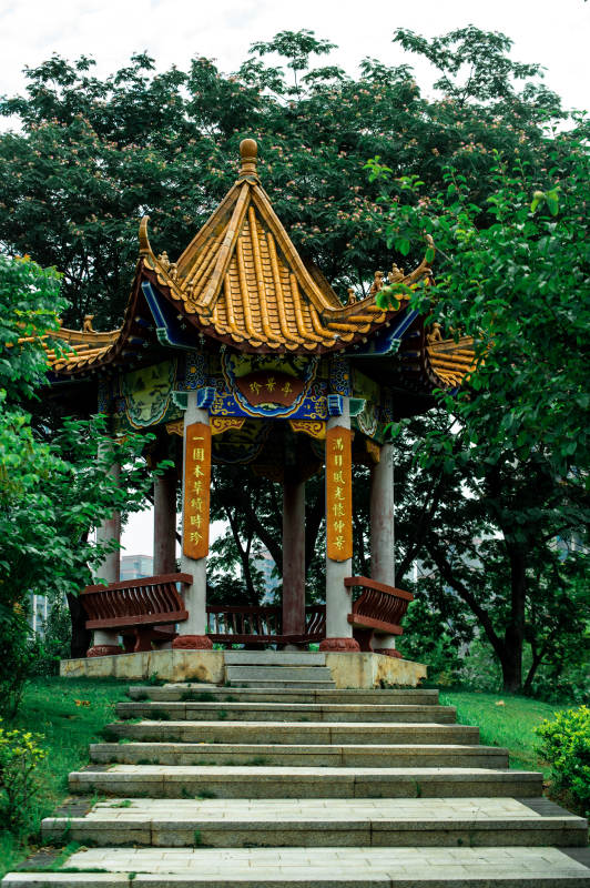 古亭幽静 绿树环绕图片