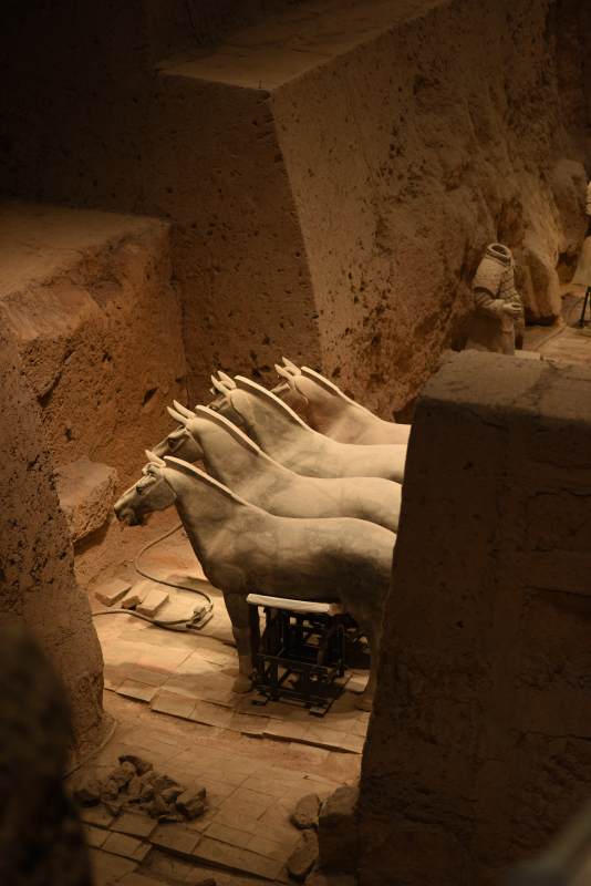 兵马俑坑中的陶马群像图片