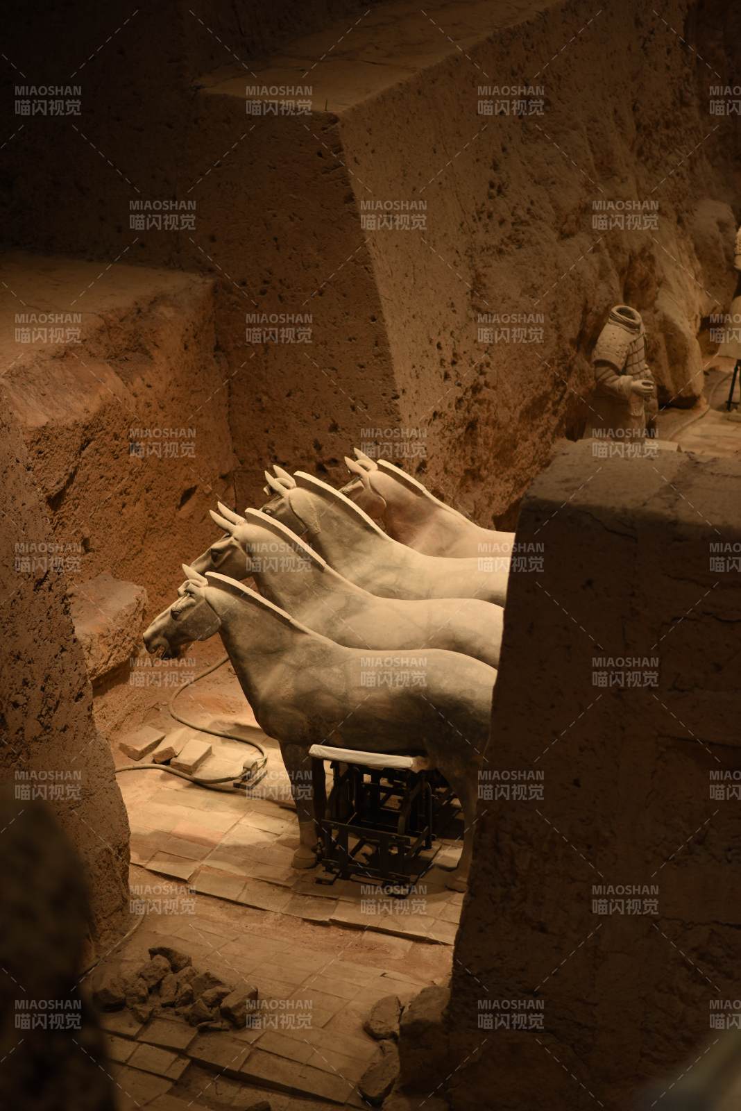 兵马俑坑中的陶马群像图片