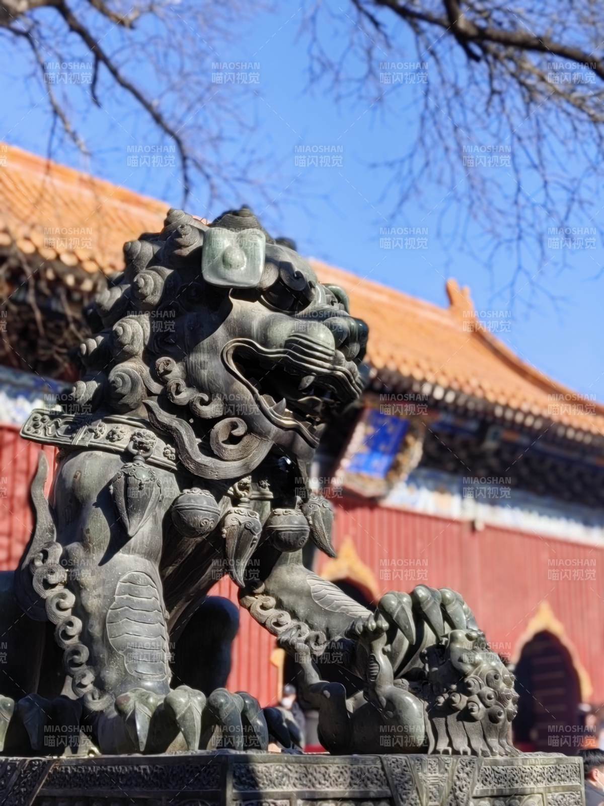 故宫石狮与红墙黄瓦图片