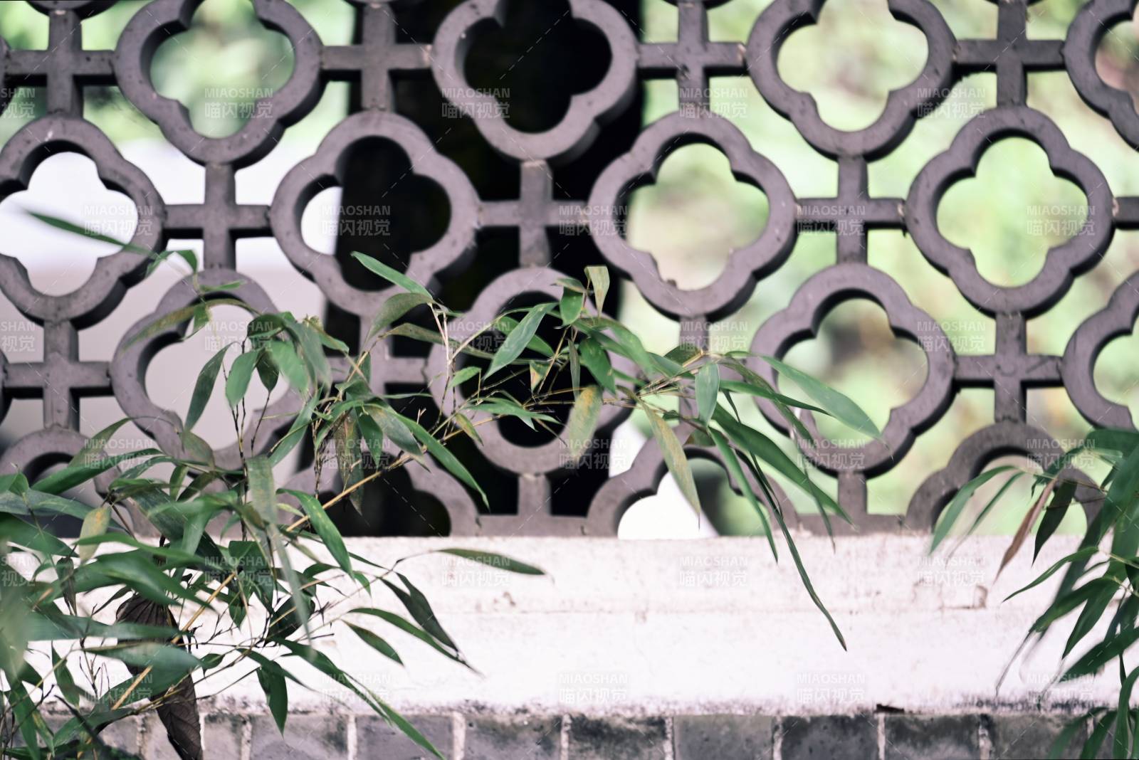 竹影透过窗格的静谧景象图片