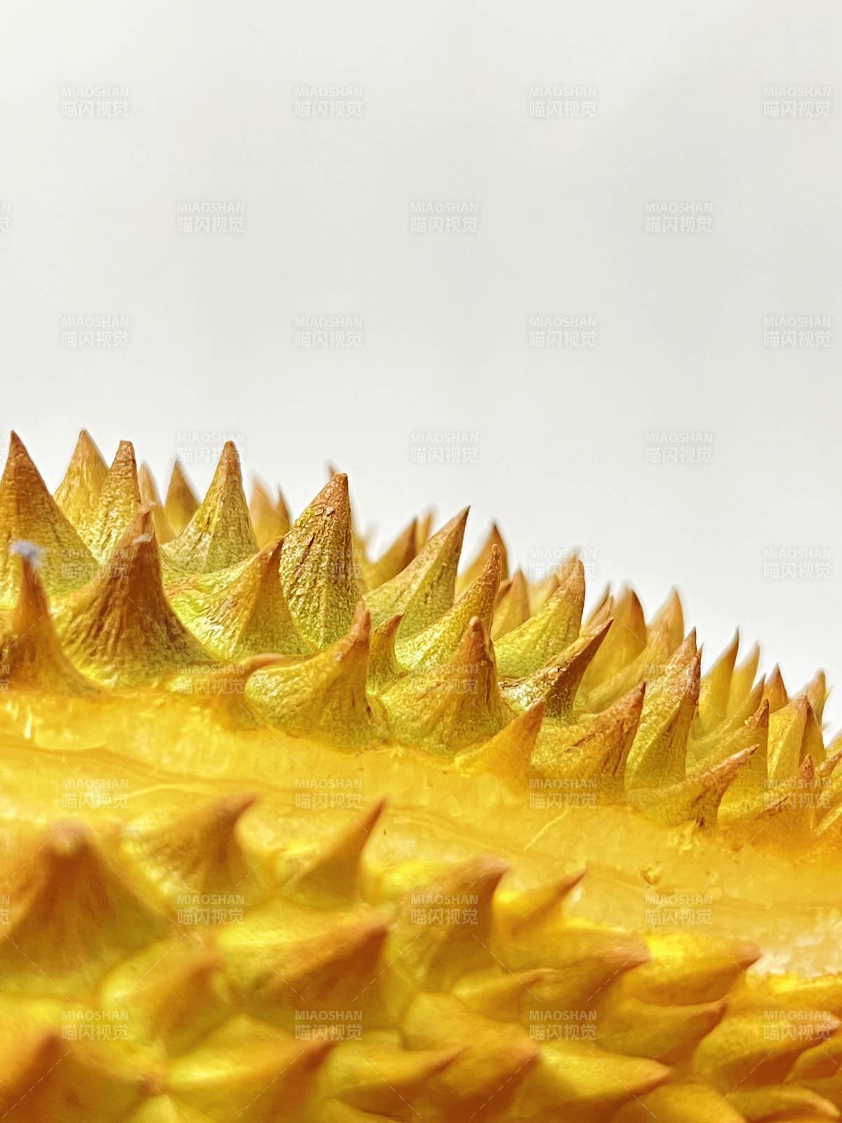 金黄色的榴莲外壳特写图片