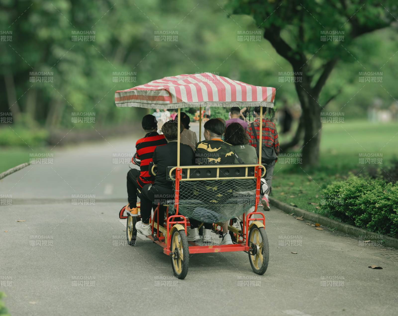 公园里的欢乐骑行图片