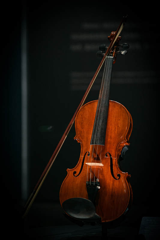 静谧的小提琴与弓图片