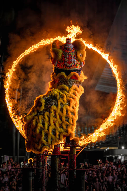 火舞龙狮 夜空绽放图片