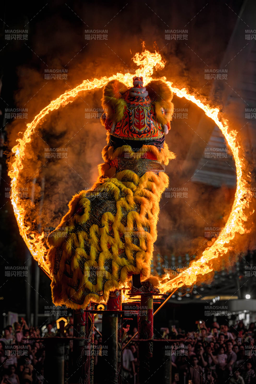 火舞龙狮 夜空绽放图片