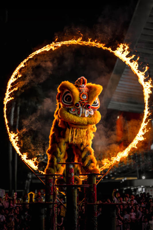 火圈舞狮 勇者无畏图片