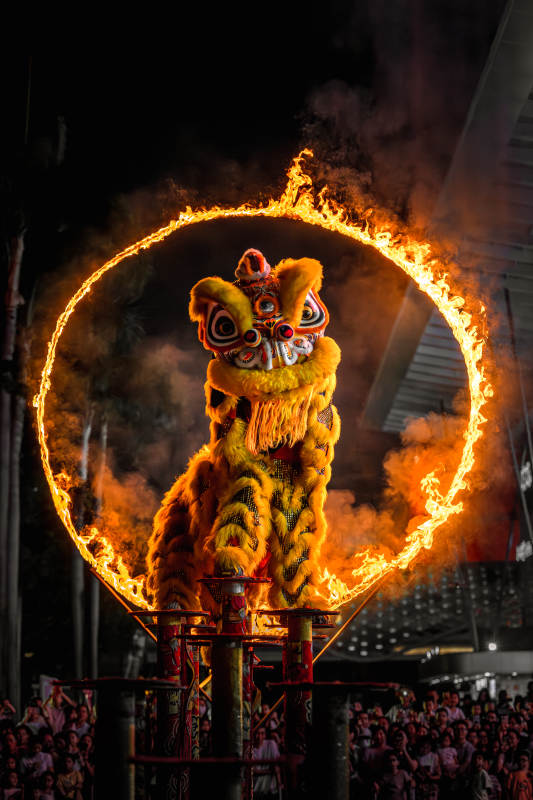 火环中的舞狮表演图片