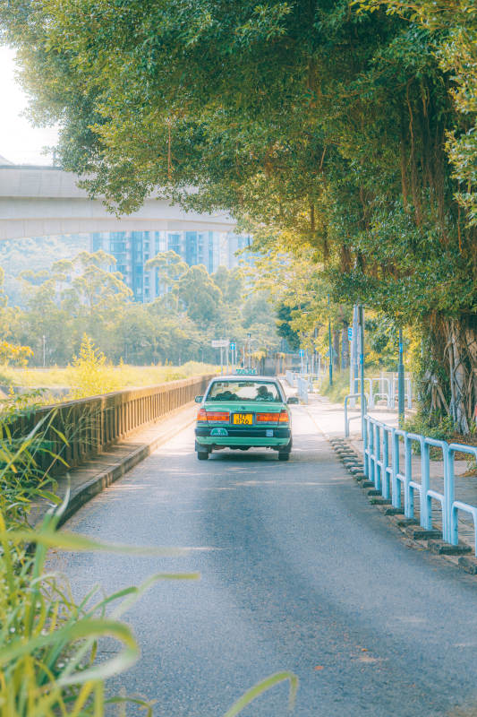 绿树成荫的乡村小路图片