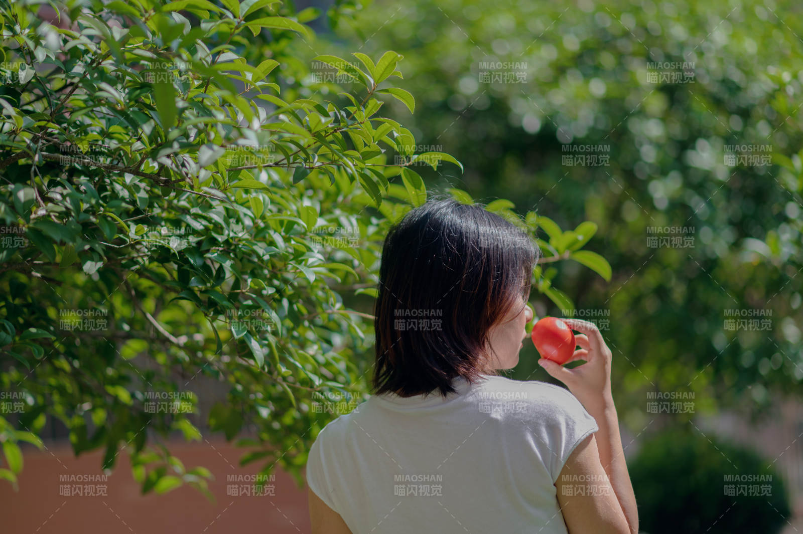 树下女子品茗静思图片