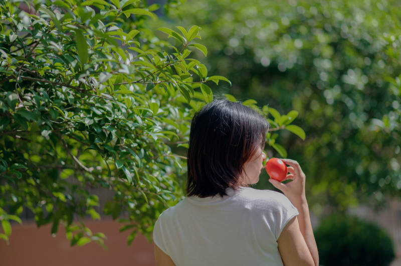 树下女子品茗静思图片