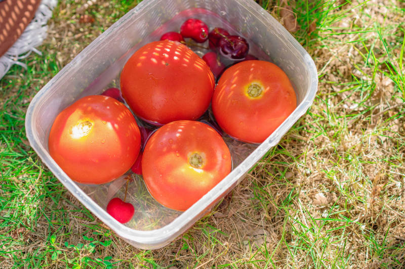 新鲜番茄与樱桃的夏日时光图片