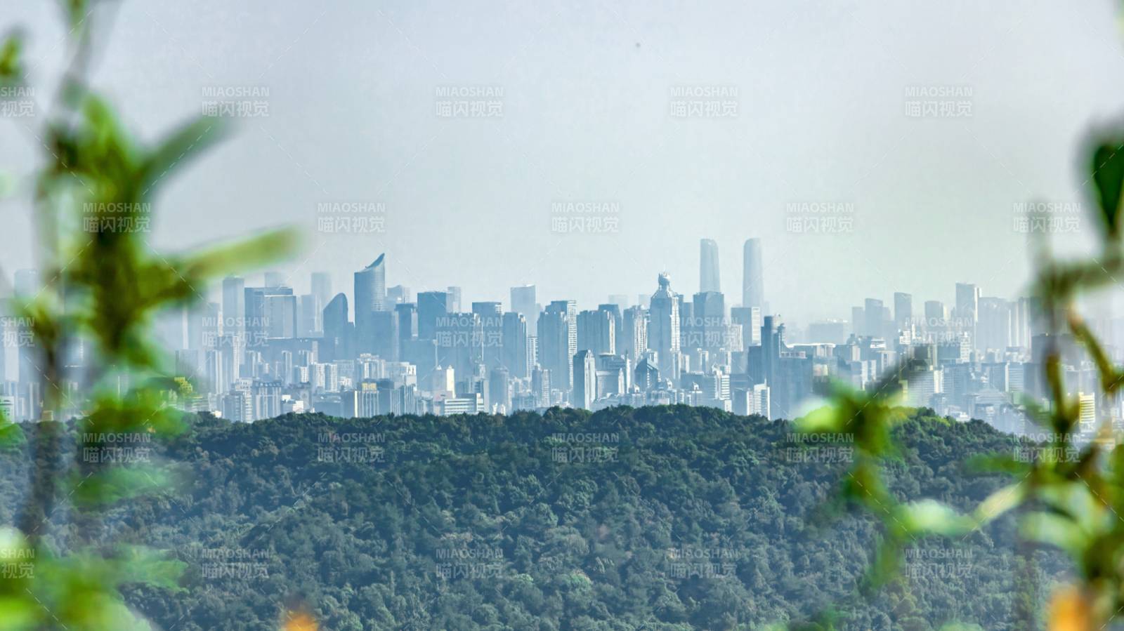 杭州城市天际线与绿植相映图片