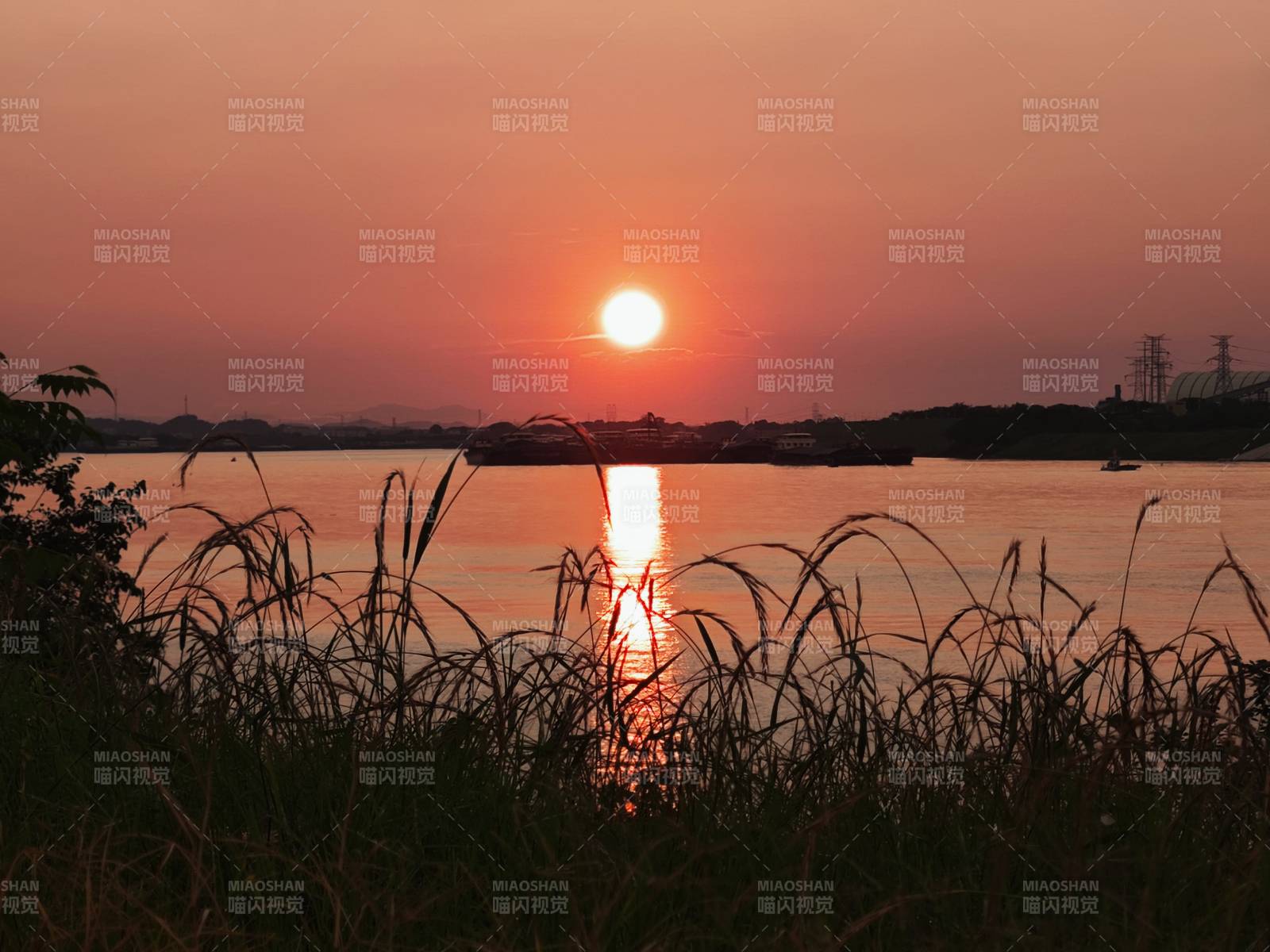 夕阳映水 芦苇轻摇图片