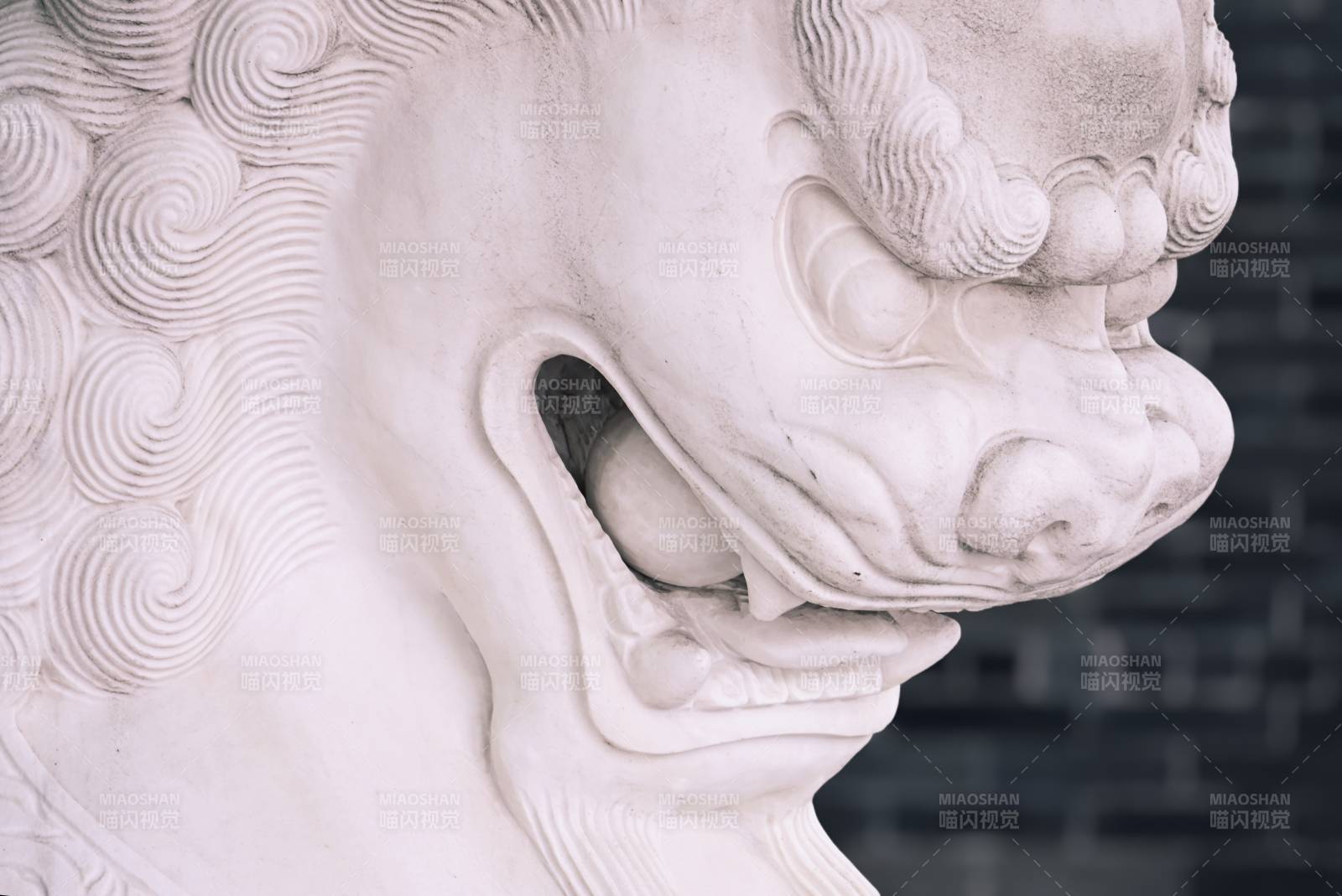 石狮雕像特写图片