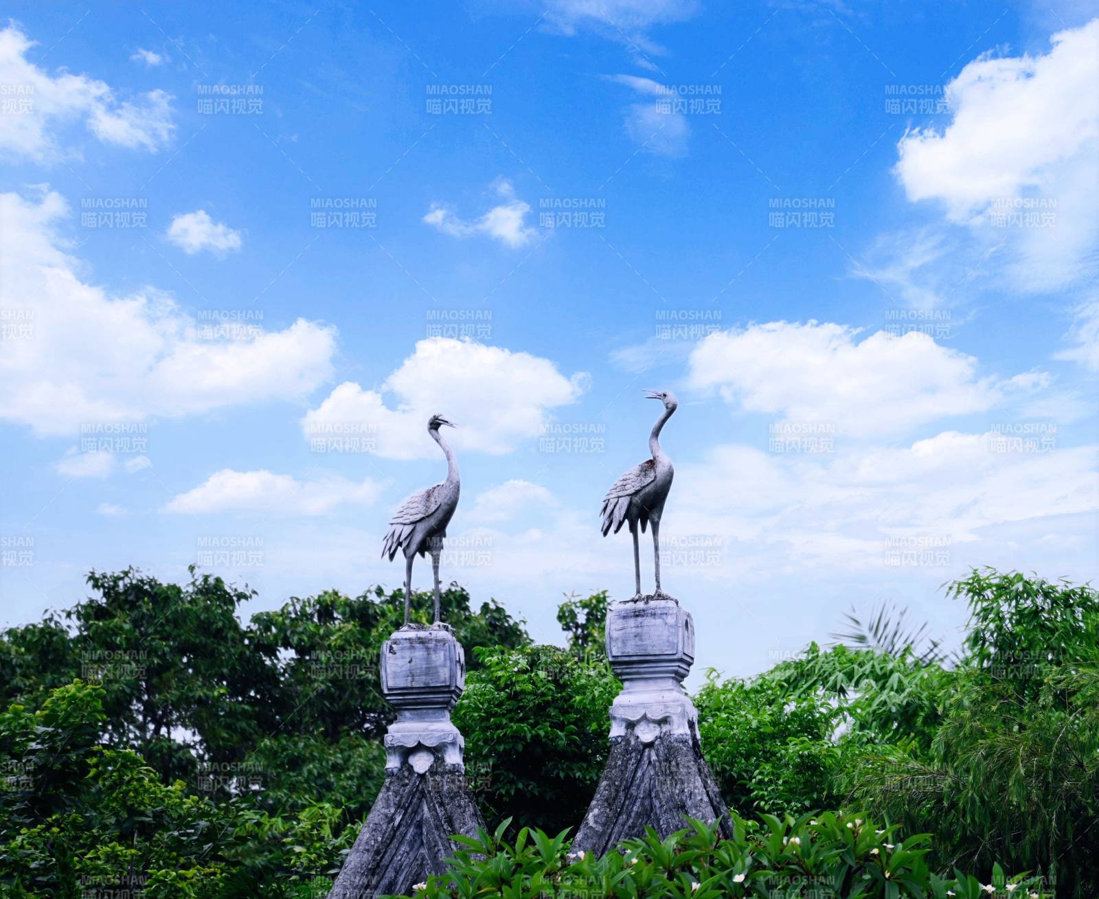 双鹤立石 蓝天绿树间图片
